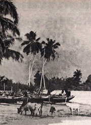 JT / Indonésia 