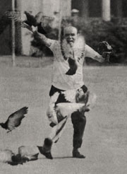 JT / Domício