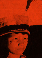 JT / Xingu e Maurren